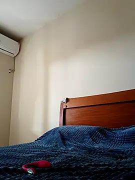 Misaudibel webcam show