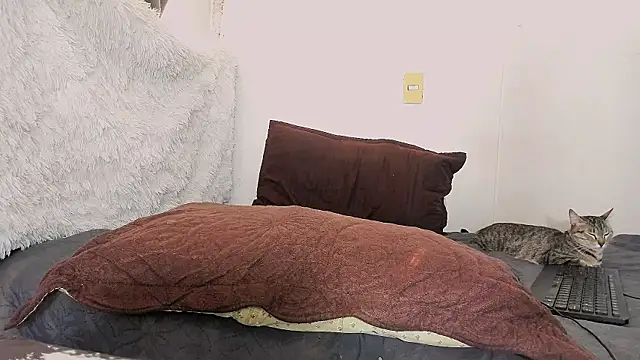 magic_mike_26's Webcam Show