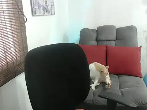 Show Webcam de lunstars