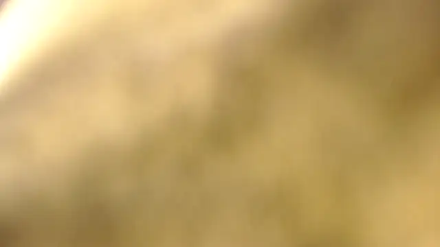 Chat XXX ao vivo de agathamiller01