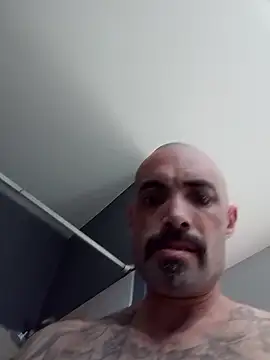 Show Webcam de wesstfine