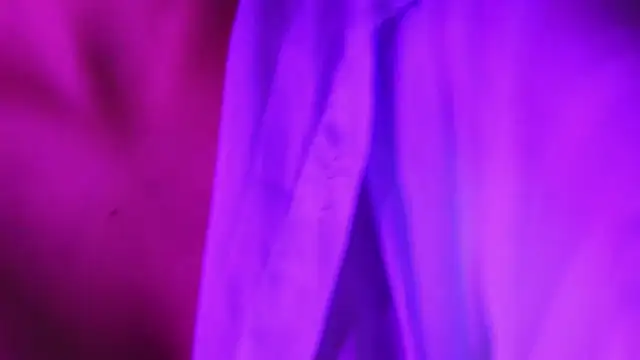 Misha-Malhotra Show Webcam