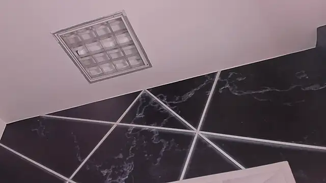 AerumChaeのウェブカメラショー