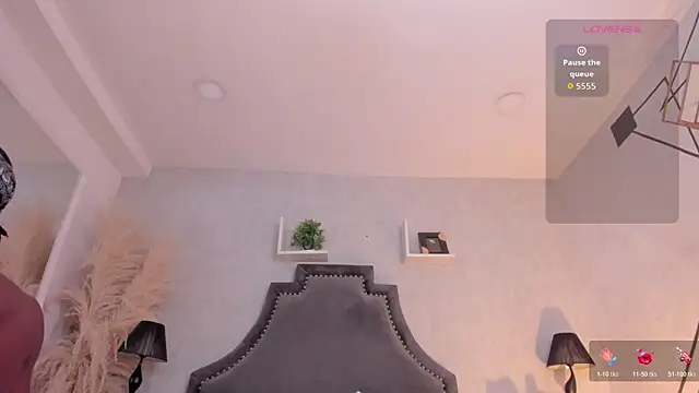JacksonMuller_n Webbikameraesitys