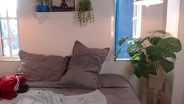Show webcam de Jesve