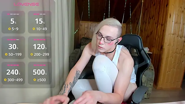 ScanDarky – webcam-show