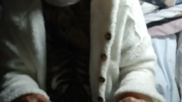 Chat XXX Live VeneRed