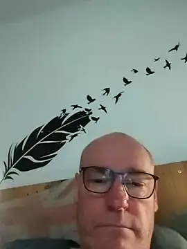 Show webcam de bogland33