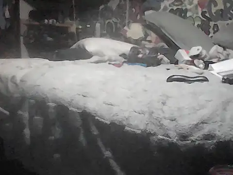 Twoslipperywhenwett's Webcam Show