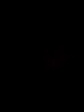 Baumhackel webkamerás műsora