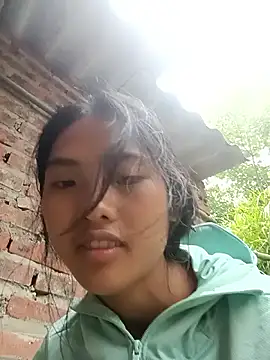 Hoa-tuylip Webcam-Show
