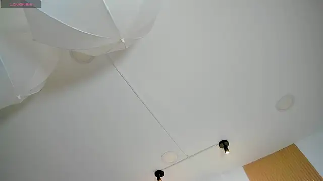 Taylor_Royal_のウェブカメラショー