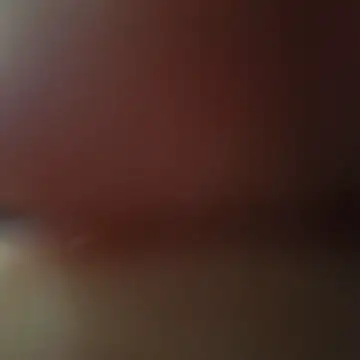 Show Webcam de sissysallyd86