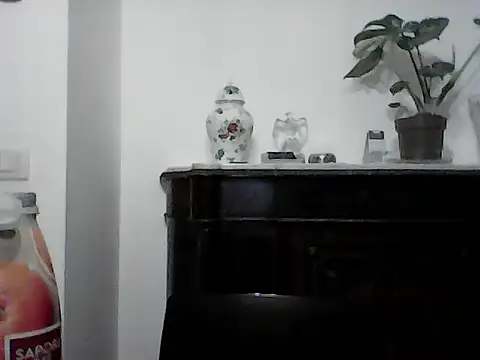 Show webcam de Lambe91
