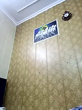 hornycoupleJandS' Webcam Show