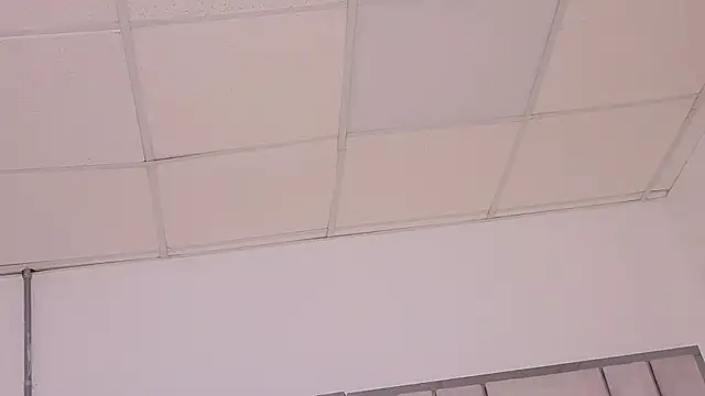CHARLIE_WALKERR Live XXX-chat