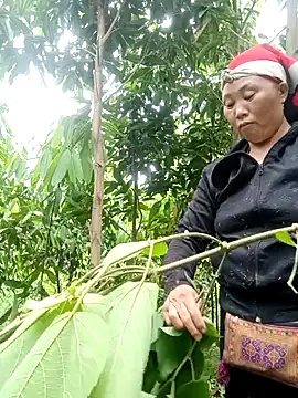 Sembang XXX Secara Langsung kalara_kail