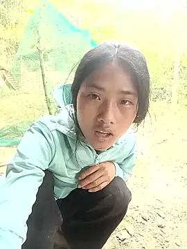 Hoa-tuylip Pertunjukan Webcam