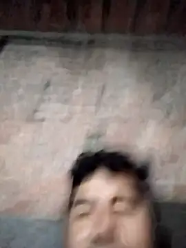 alewiin Show Webcam