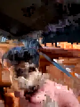 chirboys' Webcam Show