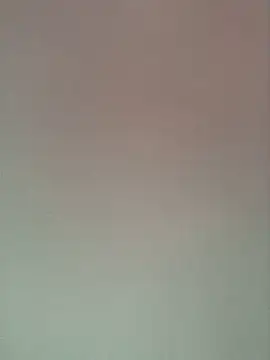 Mile-m Show Webcam