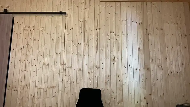 Show Webcam de AlphaSparks