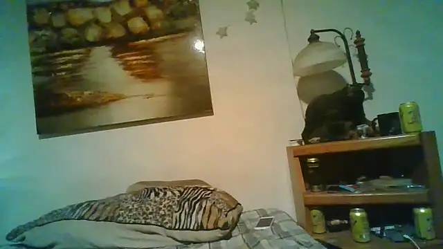 Show webcam de theboobietrap