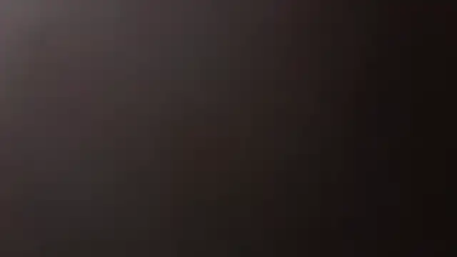Bino119 网络视讯表演