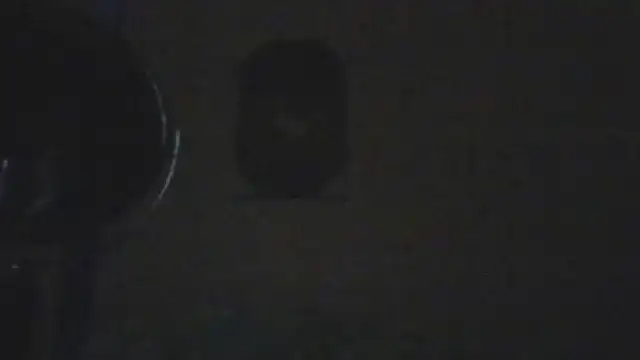 hailzeffn's Live XXX Chat