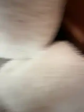 AndiSF4's Webcam Show