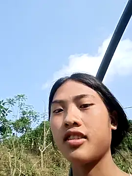 Hoa-tuylip Pertunjukan Webcam