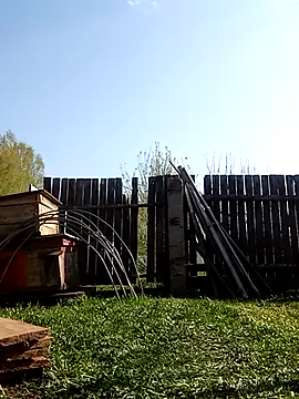 _uncle_Mitya-43_ webkamerás műsora
