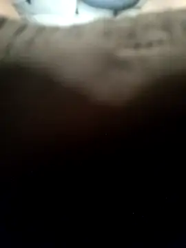 LEOMEGHA2026 Show in webcam