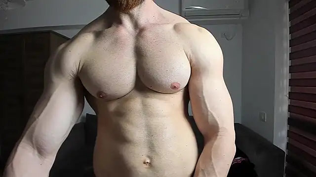 Show modela ZkkBlitz na web-kameri