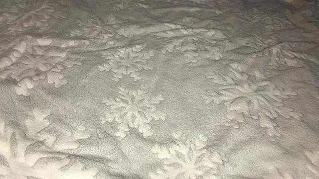 OdetteTrentinella 라이브 XXX 채팅