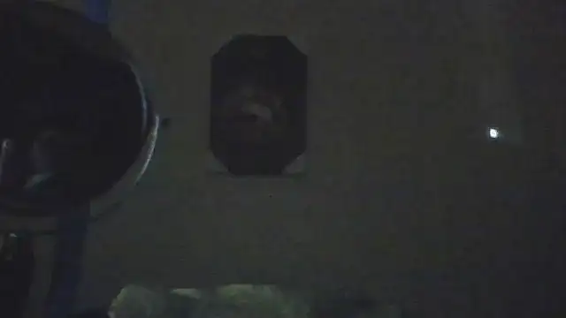 hailzeffn's Live XXX Chat