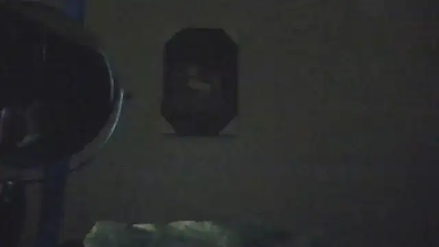 hailzeffn – Naživo XXX chat