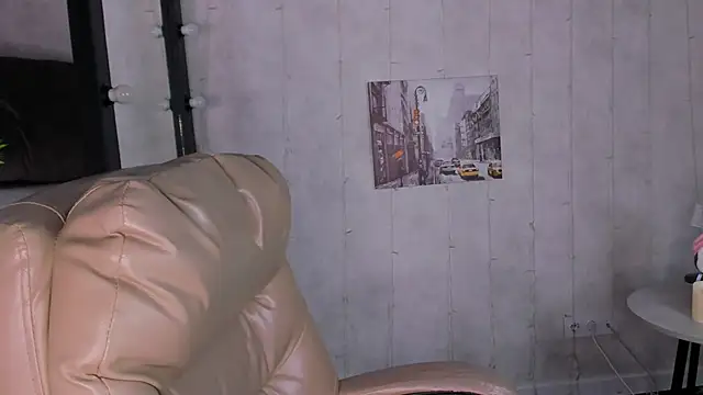 Evelyn_Palmern Webbikameraesitys