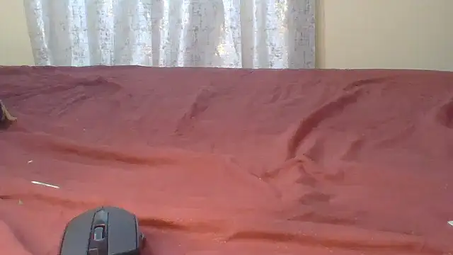 Chat XXX en directo de ndivhuwomuleya