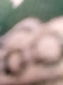 AmineMouna76 webkamerás műsora