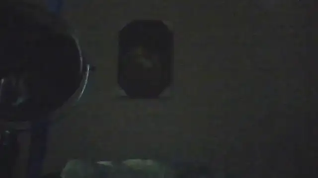 hailzeffn's Live XXX Chat