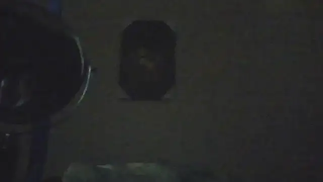 hailzeffn 라이브 XXX 채팅
