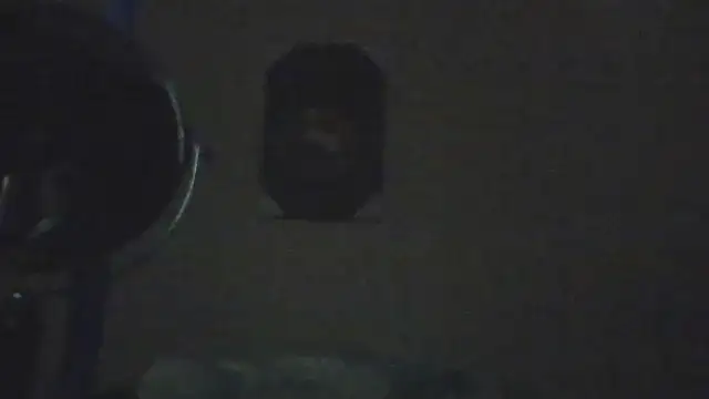 hailzeffn Chat XXX live