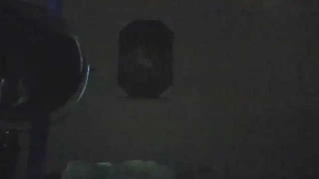 hailzeffn Chat XXX live