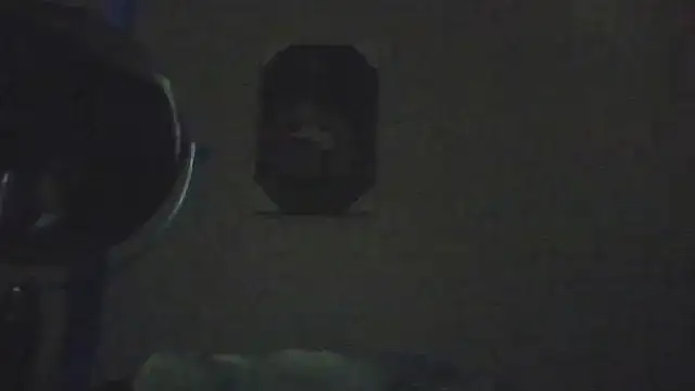 hailzeffn élő XXX-chatje