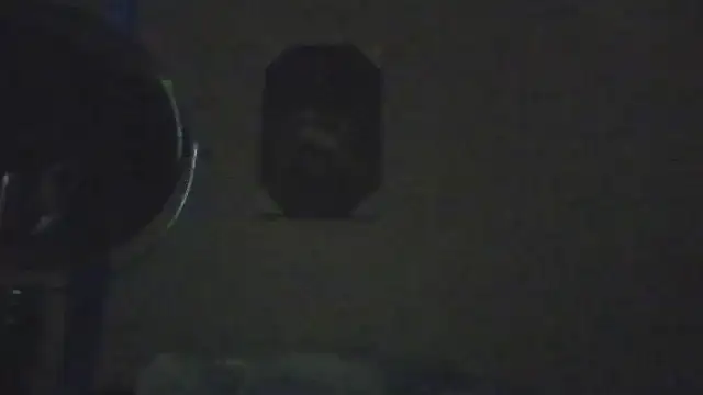 hailzeffn Chat XXX live