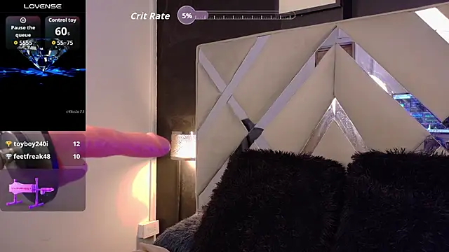 Show de webcam de Curly_flutter