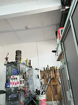 Paul22cm-のウェブカメラショー