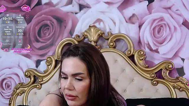 HessaHessyn Webbikameraesitys