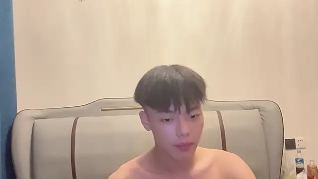 LY-0101 Show Webcam